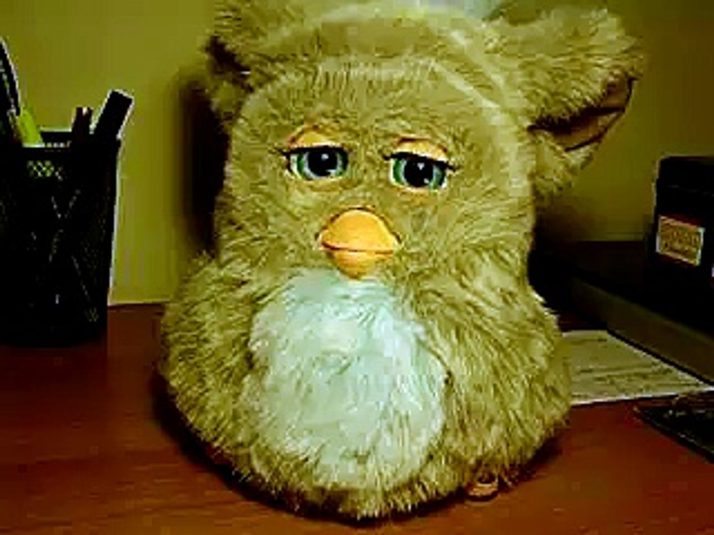 furby real tigre