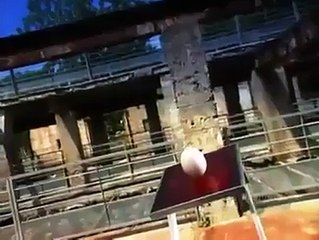 How it's Made Chick--By Funny Videos Collection