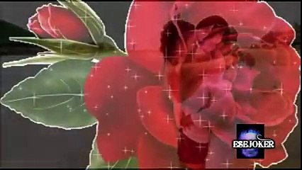 El Remmy Valenzuela - Amame una Vez Mas