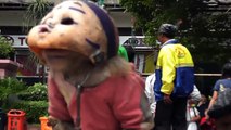 Street Begging Monkey Jakarta Indonesia