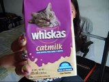 DRINKS CAT MILK?