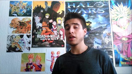 Videoblog 2: padres sobre protectores