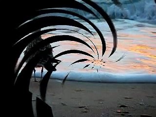 Tudor Gheorghe - Dorul calator