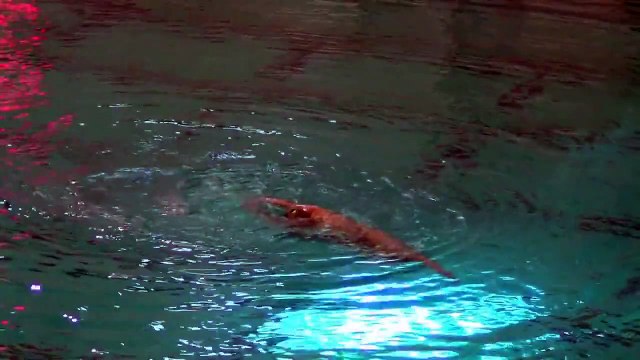 Lindenwood University Synchronized Swimming Highlights (1-26-2013)