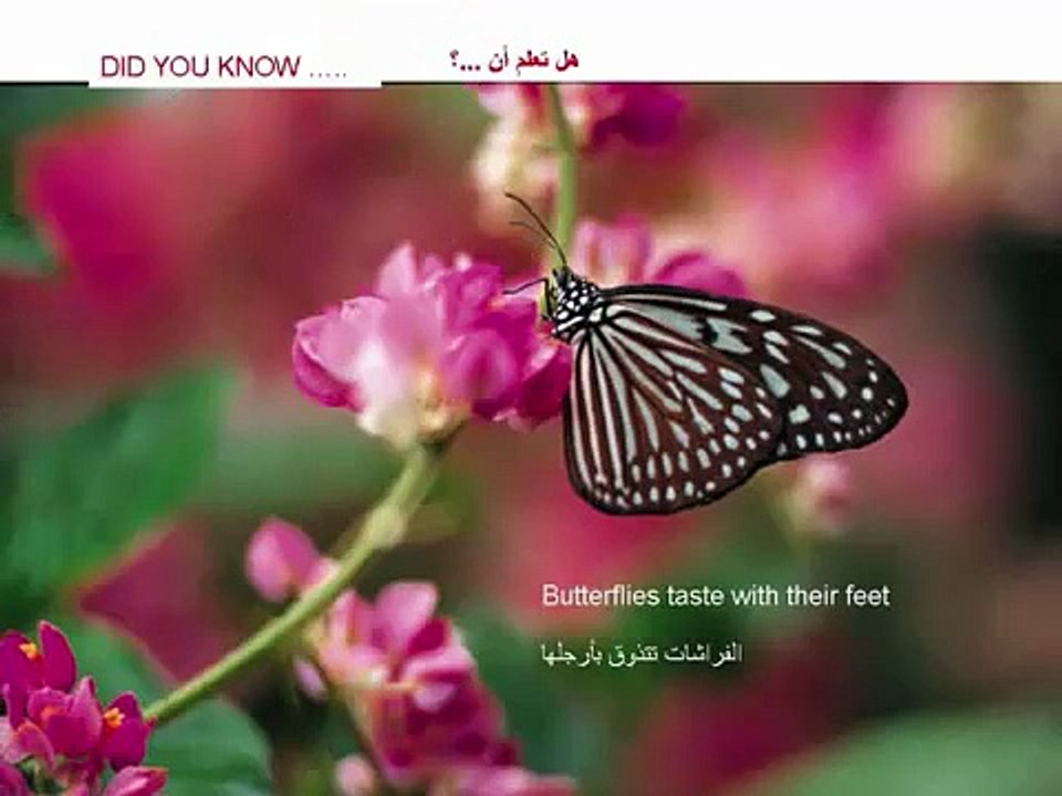 Amazing Informations 19 Things You should  Know
