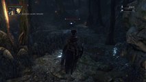 Bloodborne™intento para cruzar el bosque prohibido 2