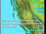 Keep The Promise for The Great Bear Rainforest