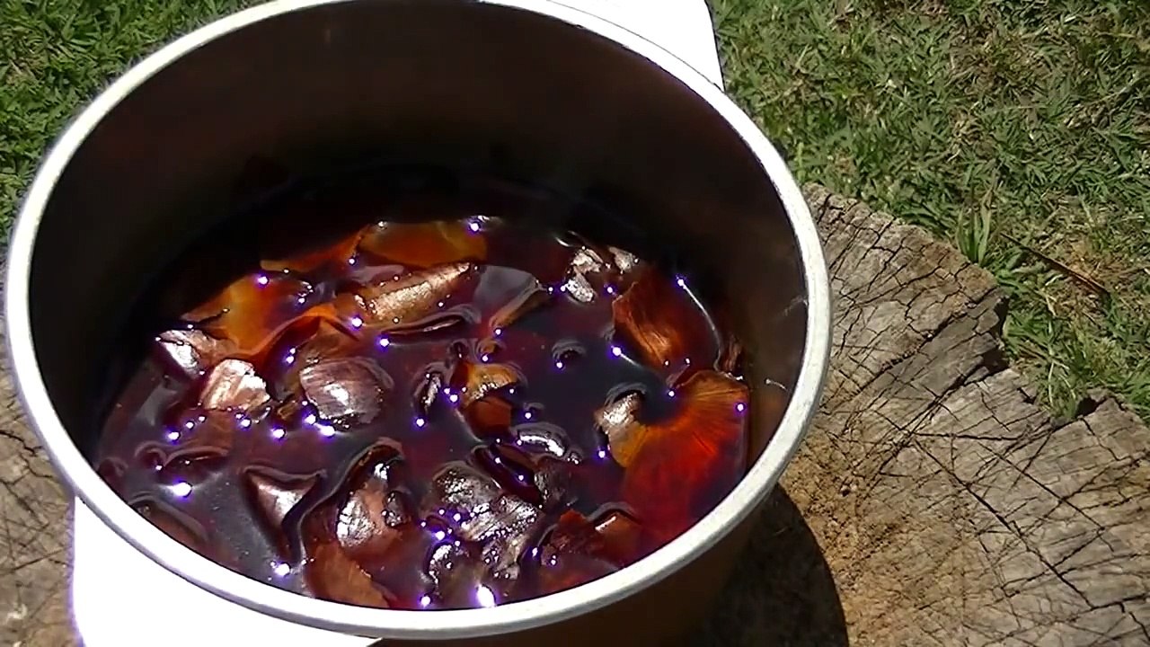 ¿Cómo teñir los tientos con cebolla? El Rincón del Soguero