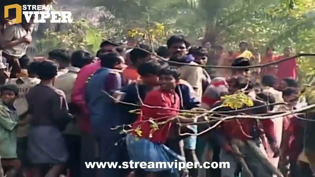 15 Most Awful Animal Attacks On Human PT01 | The Deadliest Attacks