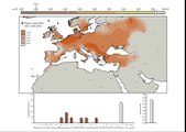 Ancient DNA Reveals Key Stages in the Formation of Central European Mitochondrial Genetic Diversity