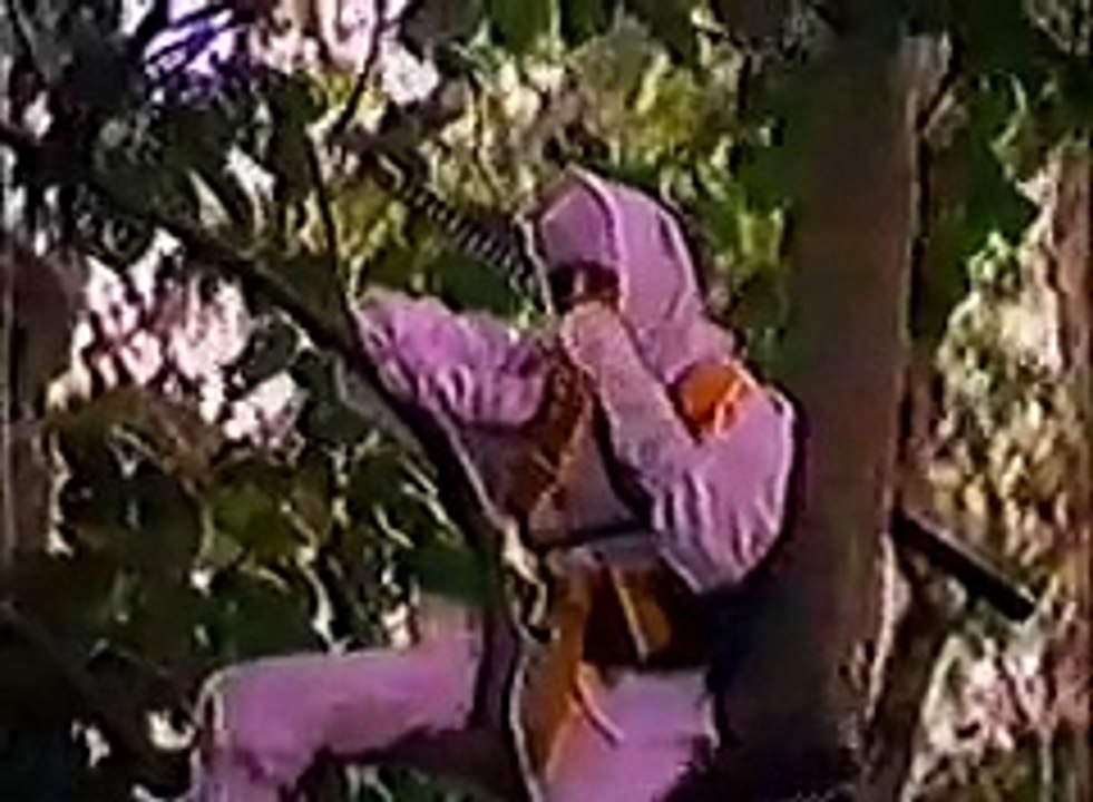 ninja kids!!