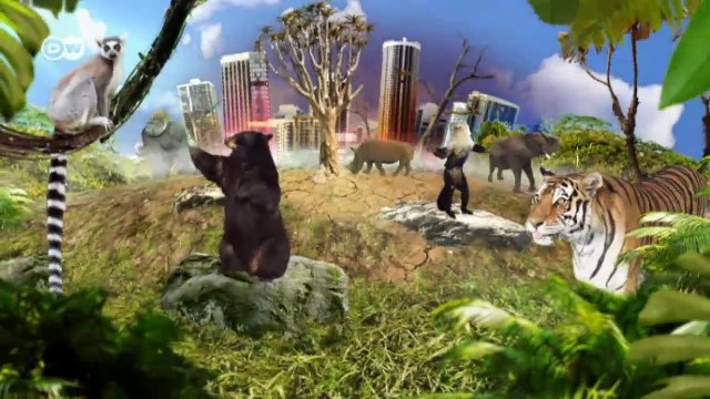 Namibia: Access for elephants | Global 3000