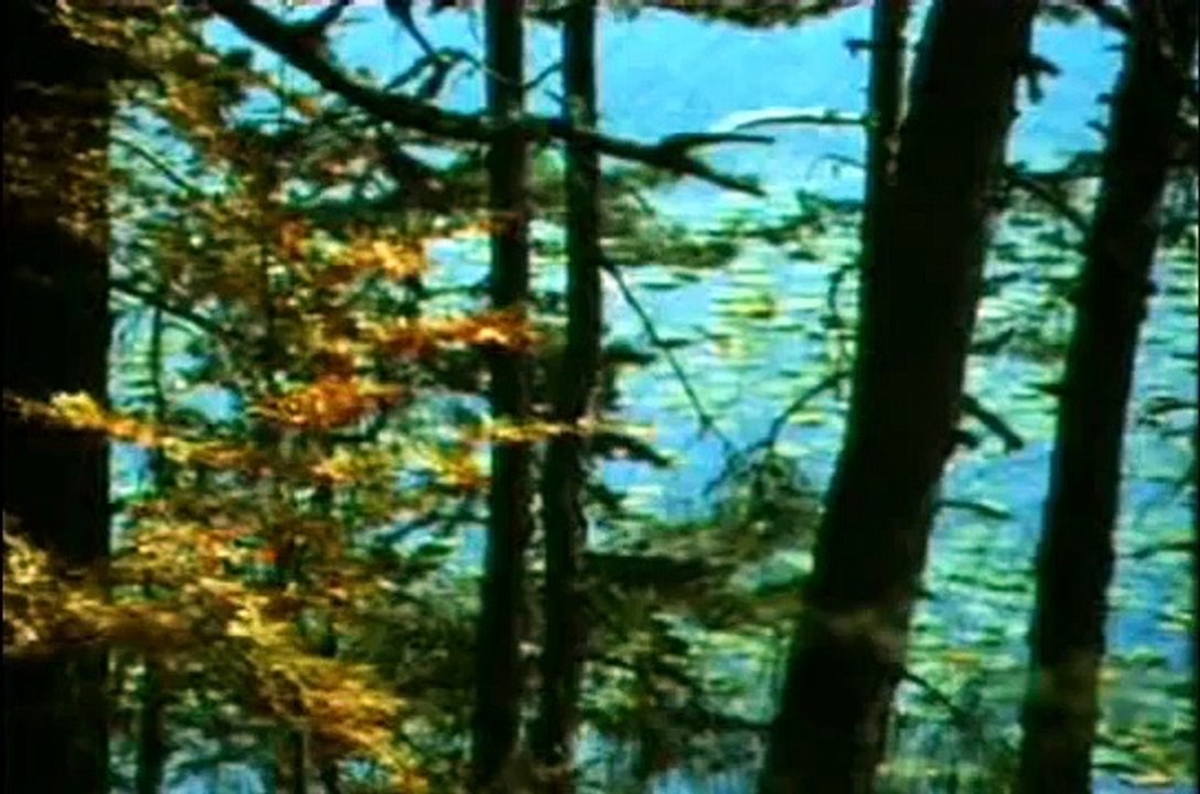 ESİN ENGİN - ÇALIKUŞU (ANATEMA) - 1986