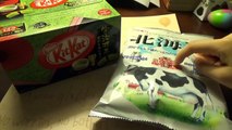 SHINy Eats: Authentic Japanese snacks/candies from Japan Pt. 2