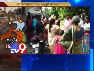Street dogs injures children, old people in Warangal