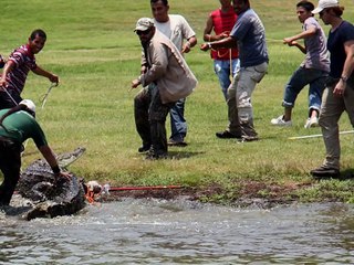 TALLER DE COCODRILOS 2011 ESTERO EL SALADO Y REPTILARIO CIPACTLI