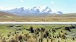 Todo Peru.- La Cordillera de Los Andes (©2002)