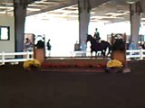 IHSA Horse Show