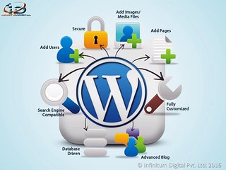 Best WordPress Developers