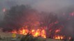 Raging US wildfires burn homes, force evacuations