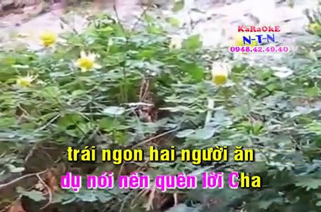 [karaoke tân nhạc Tin lành] ƠN THA THỨ