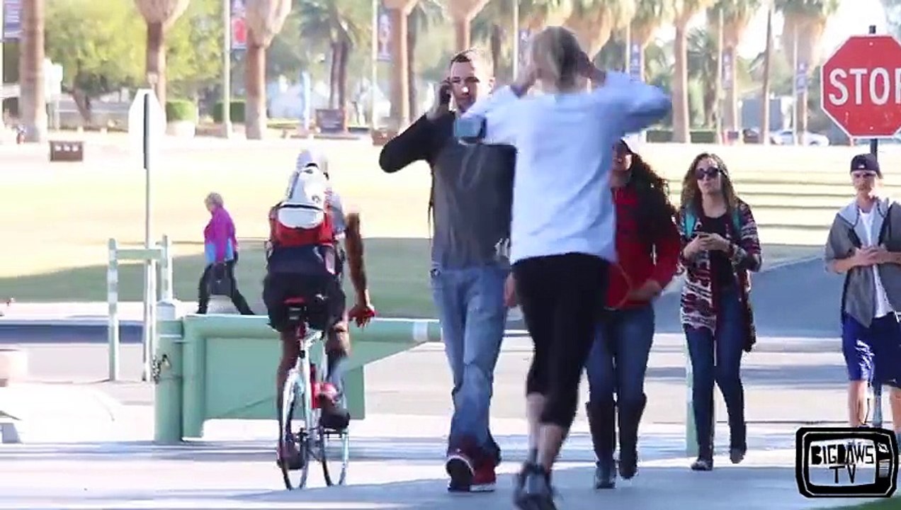 Dropping Money Social Experiment
