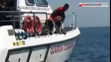 TGSRVago 17 gallipoli motoscafo trancia braccio a sub