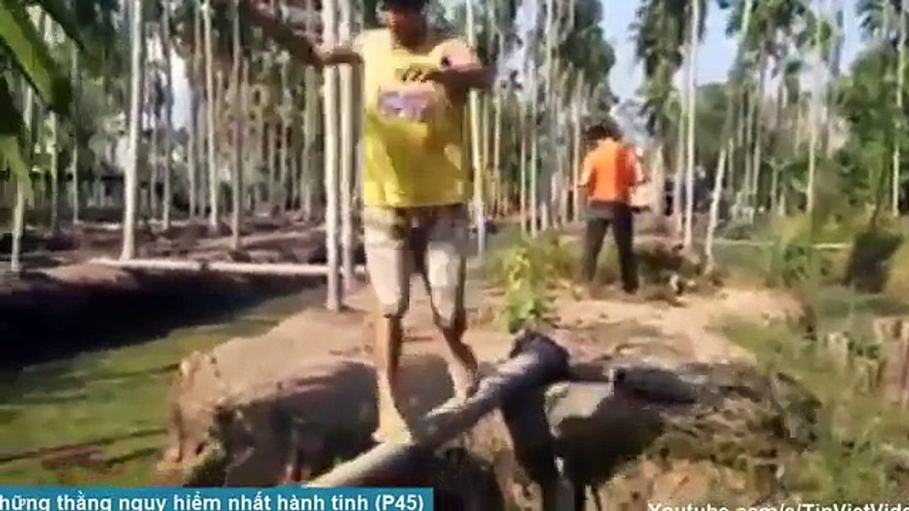 [Tin Việt Tv] Những Thằng Nguy Hiểm Nhất Hành Tinh (P45) ✔