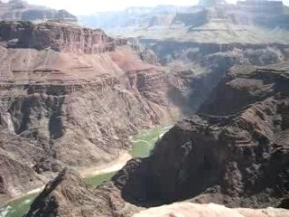 carte postale charlotte