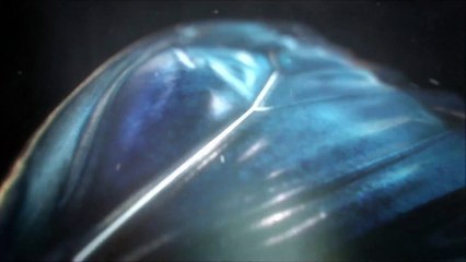 Until Dawn - Efecto Mariposa - PS4