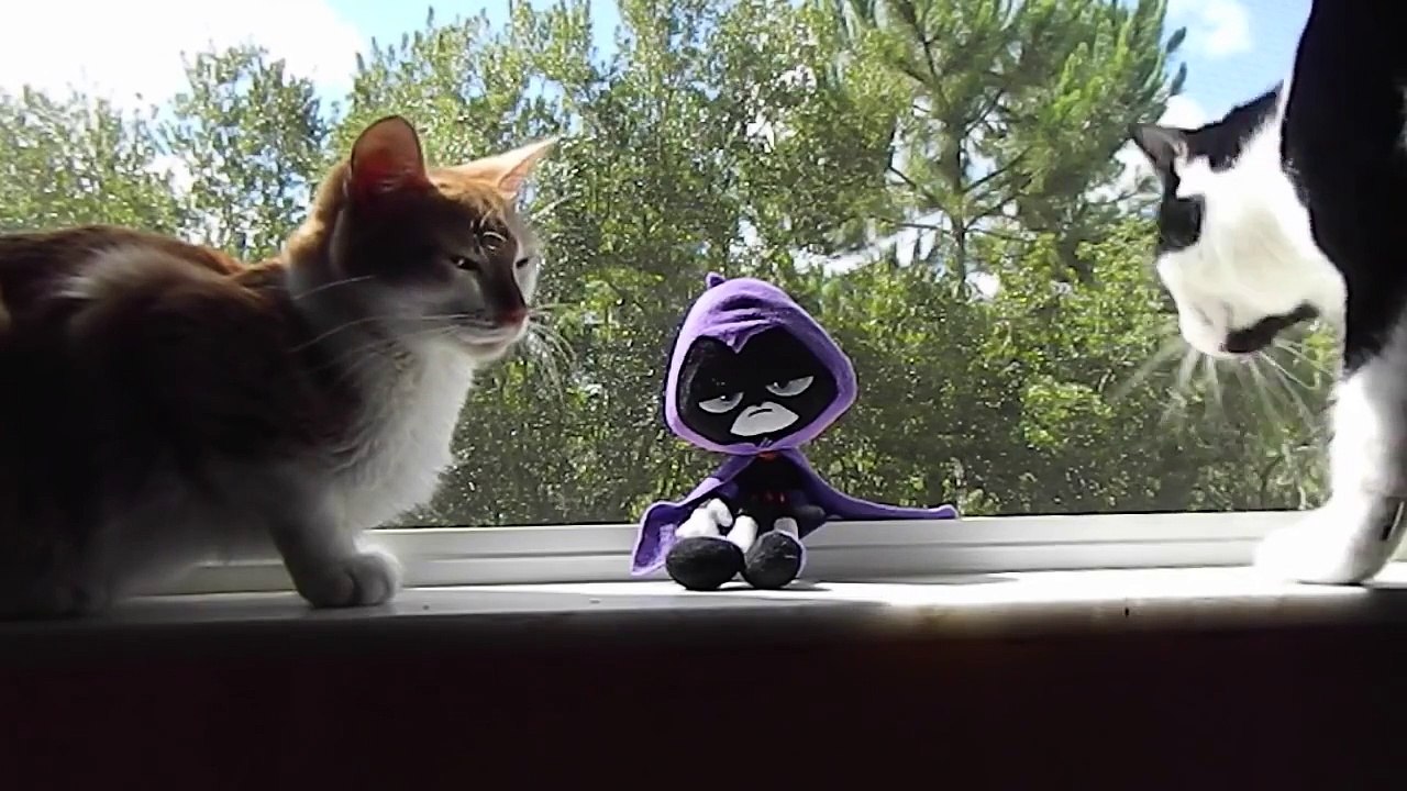 Raven Teen Titans Go! Raven Hangs out with Cats named Anna and Motor