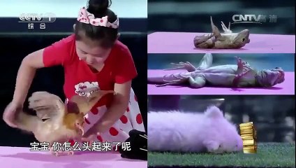 Little Girl Hypnotizes Animals with her Talent