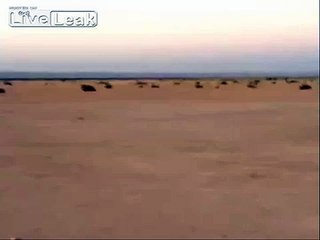 LiveLeak - The real desert's ship