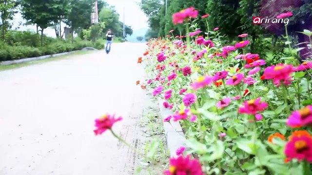 Tina and Nasim meet at a cozy theme park in Hongcheon