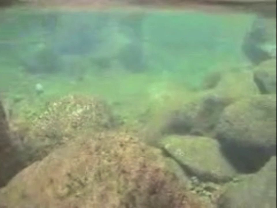 [Chercheurs d'eau] 14 - Tourmente dans la rivière