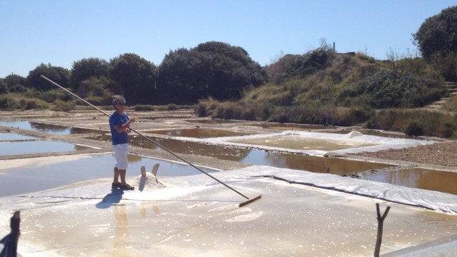 Les Salines forment les apprentis sauniers