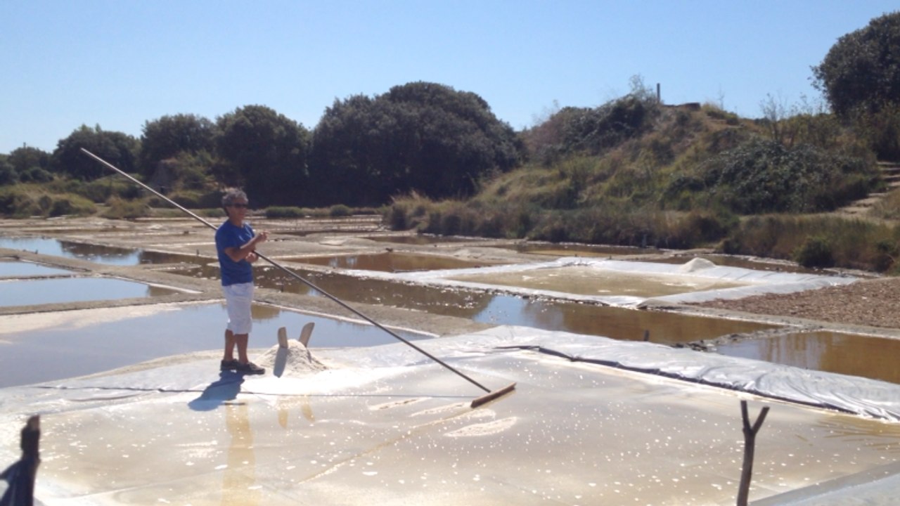 Les Salines forment les apprentis sauniers