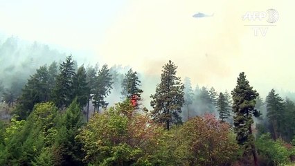 Video herunterladen: Etats-Unis: l'armée à la rescousse pour combattre les incendies