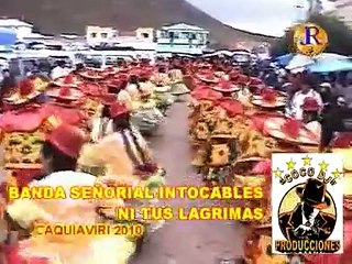 CHUTAS SEÑORIAL INTOCABLES - NI TUS LAGRIMAS