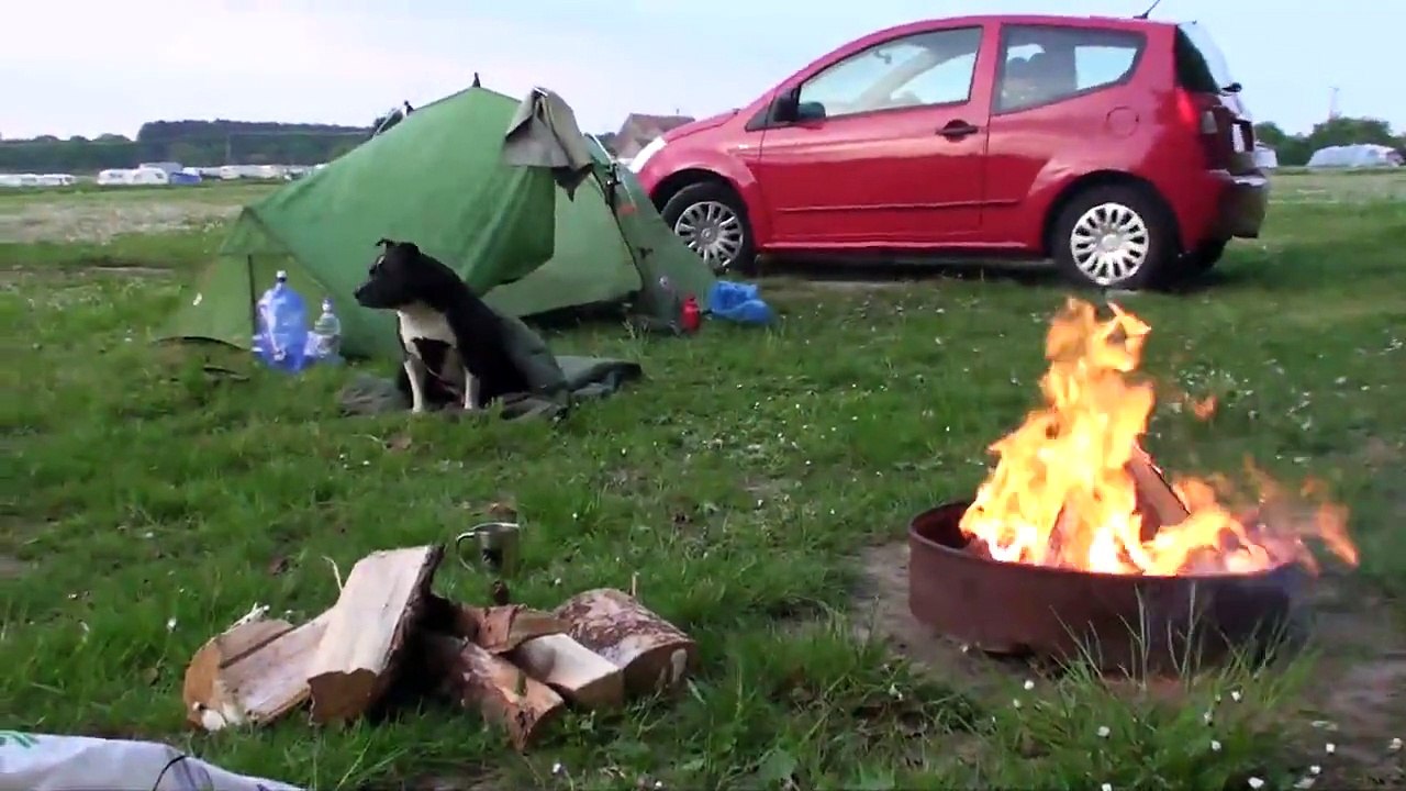 Camping with a staffy