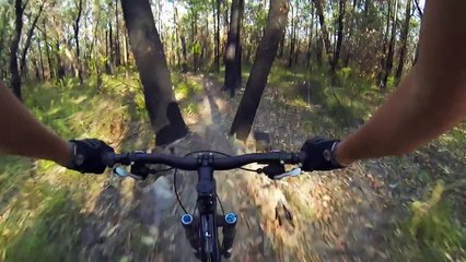 SLICK Waterproof Stabilizer -- A Motorized GoPro Steadicam for Filmakers