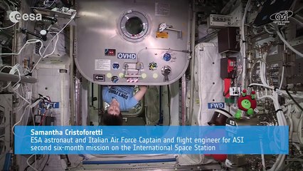 Towel day on the International Space Station