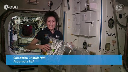 Il buono dei lipidi nel menu della Stazione Spaziale Internazionale