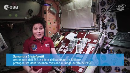 Cucinare nello spazio: riso integrale con pollo alla curcuma