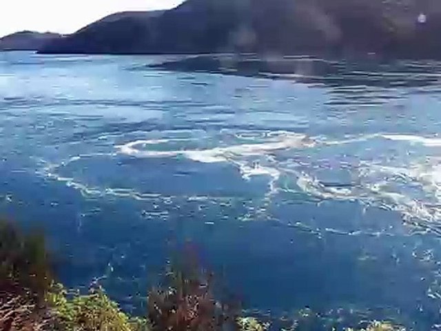 whirlpool - french Pass NZ