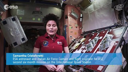 Cooking in space: whole red rice and turmeric chicken