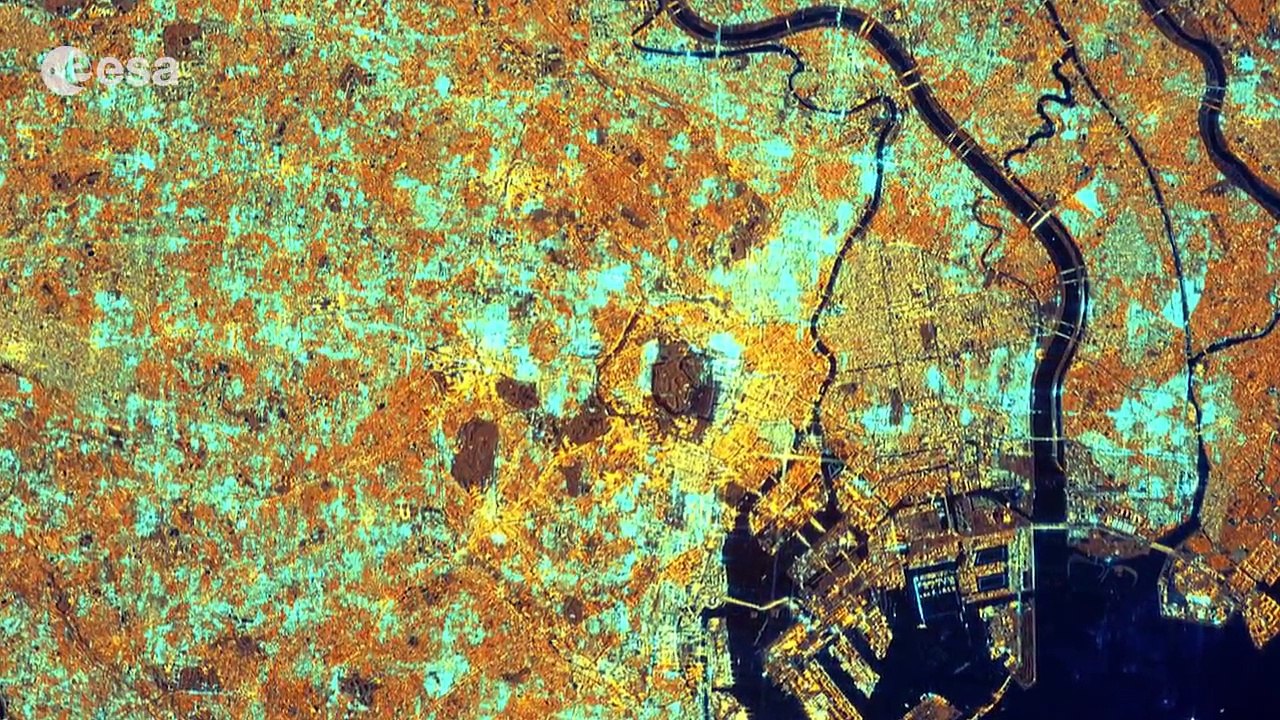 Earth from Space: Megacity