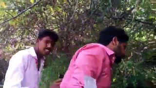 Man vs Wild in Agasthiyar hills,tamilnadu