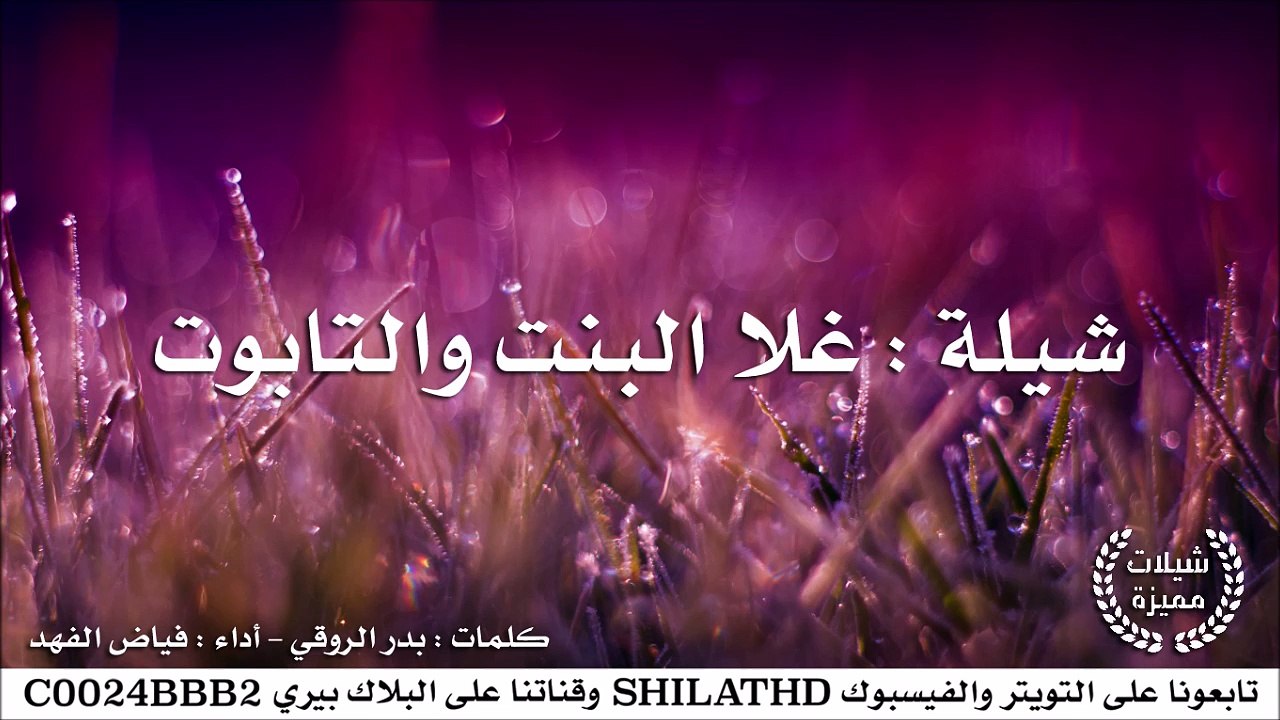 شيلة : غلا البنت والتابوت - أداء : فياض الفهد |...