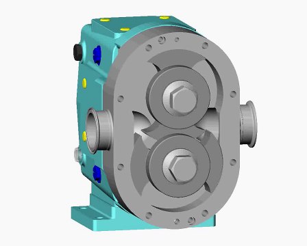 Positive Displacement Pumps - How the rotors move inside the pump